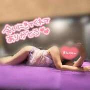 いろ 🌺〇日連続🍼🌺 アネックスジャパン