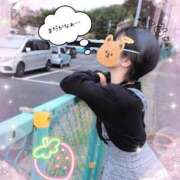 ヒメ日記 2025/10/24 18:12 投稿 こなつ 成田人妻花壇