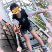 ヒメ日記 2025/11/04 20:36 投稿 こなつ 成田人妻花壇