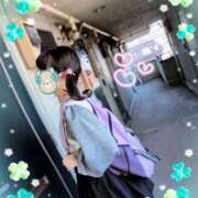 ヒメ日記 2025/11/15 09:09 投稿 こなつ 成田人妻花壇