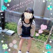 ヒメ日記 2025/11/30 14:08 投稿 こなつ 成田人妻花壇