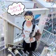 ヒメ日記 2026/02/27 17:58 投稿 こなつ 成田人妻花壇