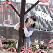 こなつ [お題]from:流しソーメンセットさん 成田人妻花壇