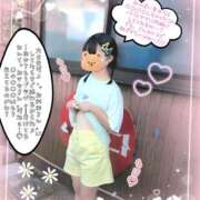 ヒメ日記 2026/07/09 14:28 投稿 こなつ 成田人妻花壇
