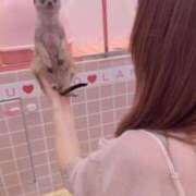 ヒメ日記 2025/06/12 11:55 投稿 らん★愛嬌抜群の極上美人ナース Bell～S級美女お姉様・人妻デリヘル～