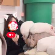 ヒメ日記 2025/08/27 23:34 投稿 らん★愛嬌抜群の極上美人ナース Bell～S級美女お姉様・人妻デリヘル～