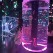 ヒメ日記 2025/09/16 20:37 投稿 らん★愛嬌抜群の極上美人ナース Bell～S級美女お姉様・人妻デリヘル～