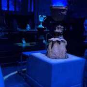 ヒメ日記 2025/10/16 14:01 投稿 らん★愛嬌抜群の極上美人ナース Bell～S級美女お姉様・人妻デリヘル～