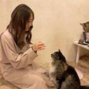 ヒメ日記 2025/10/20 22:03 投稿 らん★愛嬌抜群の極上美人ナース Bell～S級美女お姉様・人妻デリヘル～