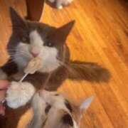 ヒメ日記 2025/10/20 22:33 投稿 らん★愛嬌抜群の極上美人ナース Bell～S級美女お姉様・人妻デリヘル～