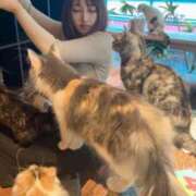 ヒメ日記 2025/11/02 21:16 投稿 らん★愛嬌抜群の極上美人ナース Bell～S級美女お姉様・人妻デリヘル～