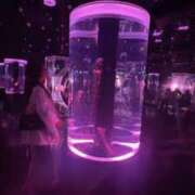 ヒメ日記 2025/11/14 21:09 投稿 らん★愛嬌抜群の極上美人ナース Bell～S級美女お姉様・人妻デリヘル～