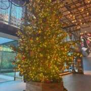 ヒメ日記 2025/11/25 03:09 投稿 らん★愛嬌抜群の極上美人ナース Bell～S級美女お姉様・人妻デリヘル～