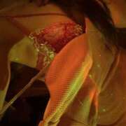 らん★愛嬌抜群の極上美人ナース バナナって結局いいの？ Bell～S級美女お姉様・人妻デリヘル～