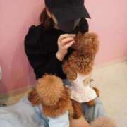 ヒメ日記 2026/04/15 18:16 投稿 らん★愛嬌抜群の極上美人ナース Bell～S級美女お姉様・人妻デリヘル～