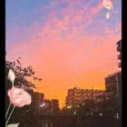 ヒメ日記 2025/10/29 19:46 投稿 あこ 横浜ひよこ倶楽部