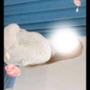 ヒメ日記 2025/11/03 10:33 投稿 あこ 横浜ひよこ倶楽部