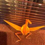 ヒメ日記 2025/10/14 12:11 投稿 小川　美月 OLアフター5