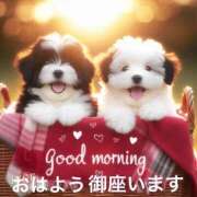 ヒメ日記 2025/11/23 05:56 投稿 さやか モアグループ神栖人妻花壇