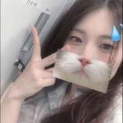 ヒメ日記 2025/07/01 11:19 投稿 ひつじ ぐっすり山田　大阪店