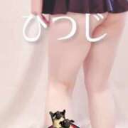 ヒメ日記 2025/07/08 10:09 投稿 ひつじ ぐっすり山田　大阪店