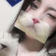 ヒメ日記 2025/07/08 22:19 投稿 ひつじ ぐっすり山田　大阪店