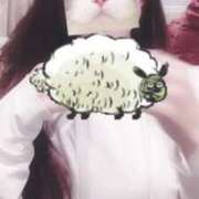 ヒメ日記 2025/07/14 12:59 投稿 ひつじ ぐっすり山田　大阪店