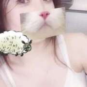 ヒメ日記 2025/07/14 21:02 投稿 ひつじ ぐっすり山田　大阪店