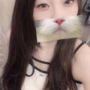 ヒメ日記 2025/07/31 10:09 投稿 ひつじ ぐっすり山田　大阪店