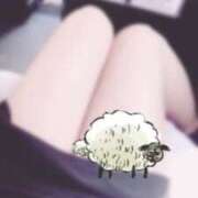 ヒメ日記 2025/08/15 18:29 投稿 ひつじ ぐっすり山田　大阪店