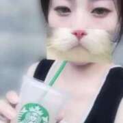 ヒメ日記 2025/08/21 15:29 投稿 ひつじ ぐっすり山田　大阪店