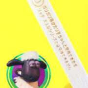 ヒメ日記 2025/09/11 22:19 投稿 ひつじ ぐっすり山田　大阪店