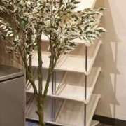 ヒメ日記 2025/09/22 09:59 投稿 ひつじ ぐっすり山田　大阪店