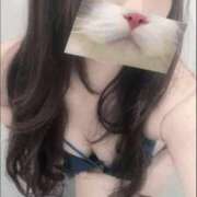 ヒメ日記 2025/09/27 23:49 投稿 ひつじ ぐっすり山田　大阪店