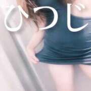 ヒメ日記 2025/10/01 23:39 投稿 ひつじ ぐっすり山田　大阪店