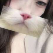 ヒメ日記 2025/10/06 23:59 投稿 ひつじ ぐっすり山田　大阪店