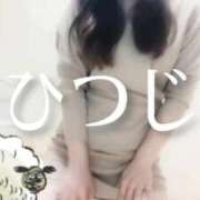 ヒメ日記 2025/10/08 10:29 投稿 ひつじ ぐっすり山田　大阪店