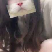 ヒメ日記 2025/10/16 22:57 投稿 ひつじ ぐっすり山田　大阪店