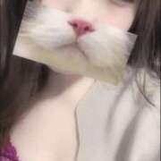 ヒメ日記 2025/10/30 16:19 投稿 ひつじ ぐっすり山田　大阪店