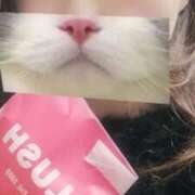 ヒメ日記 2025/11/18 18:19 投稿 ひつじ ぐっすり山田　大阪店