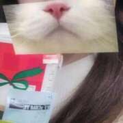 ひつじ 🐑🥤 ぐっすり山田　大阪店