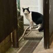 ヒメ日記 2025/08/15 19:41 投稿 しほ 最高級 エロエロ奥様 越谷店