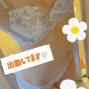 ヒメ日記 2026/04/12 11:02 投稿 しほ 最高級 エロエロ奥様 越谷店