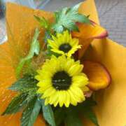 ヒメ日記 2025/07/04 01:33 投稿 なぎさ 川崎・東横人妻城