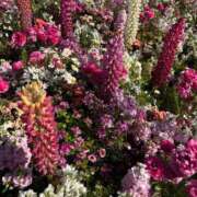 なぎさ 🍺 川崎・東横人妻城