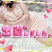 ヒメ日記 2025/09/01 12:27 投稿 愛YA女～あやめ ドMな奥さん 日本橋店