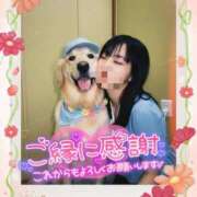 ヒメ日記 2025/11/26 17:08 投稿 愛YA女～あやめ ドMな奥さん 日本橋店