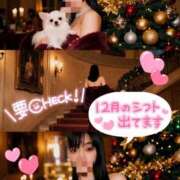 ヒメ日記 2025/12/01 23:50 投稿 愛YA女～あやめ ドMな奥さん 日本橋店