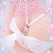 ヒメ日記 2026/01/31 16:47 投稿 愛YA女～あやめ ドMな奥さん 日本橋店