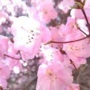 ヒメ日記 2026/04/13 21:42 投稿 愛YA女～あやめ ドMな奥さん 日本橋店